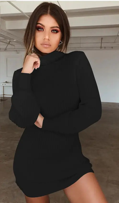 High Neck Long Sleeve Ribbed Mini Dress
