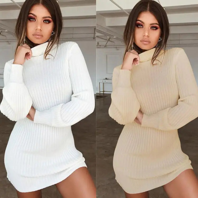 High Neck Long Sleeve Ribbed Mini Dress