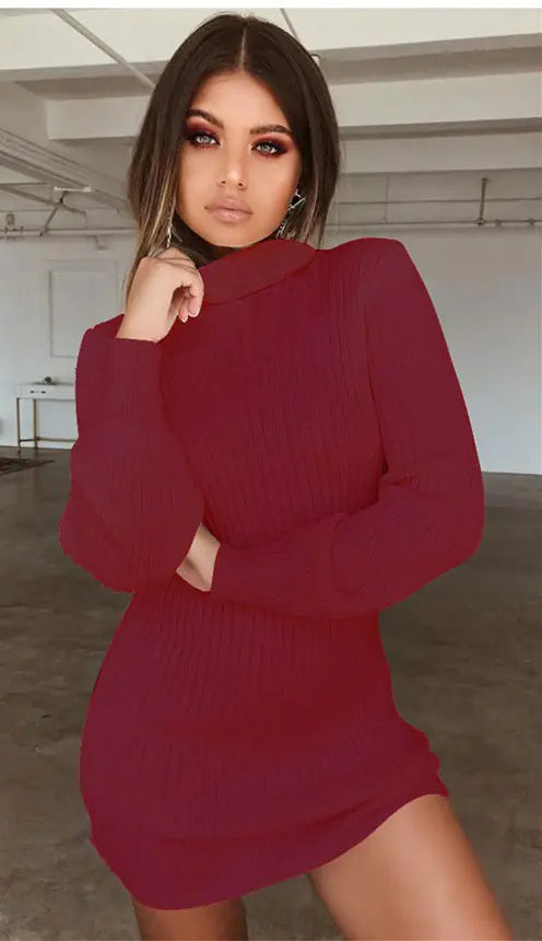 High Neck Long Sleeve Ribbed Mini Dress