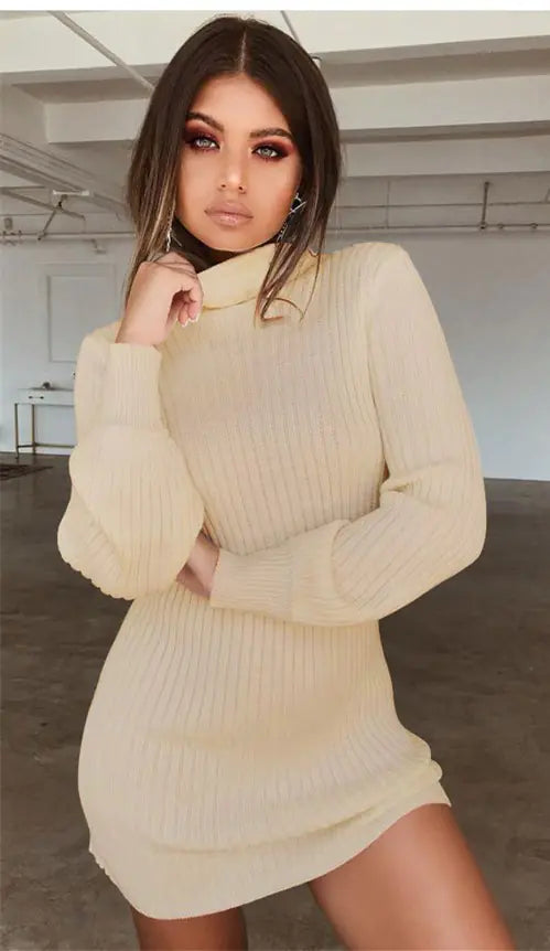 High Neck Long Sleeve Ribbed Mini Dress