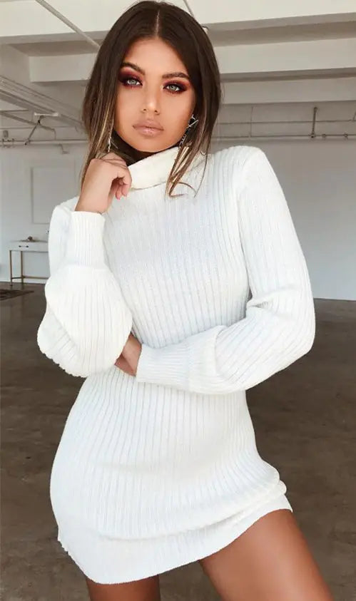 High Neck Long Sleeve Ribbed Mini Dress