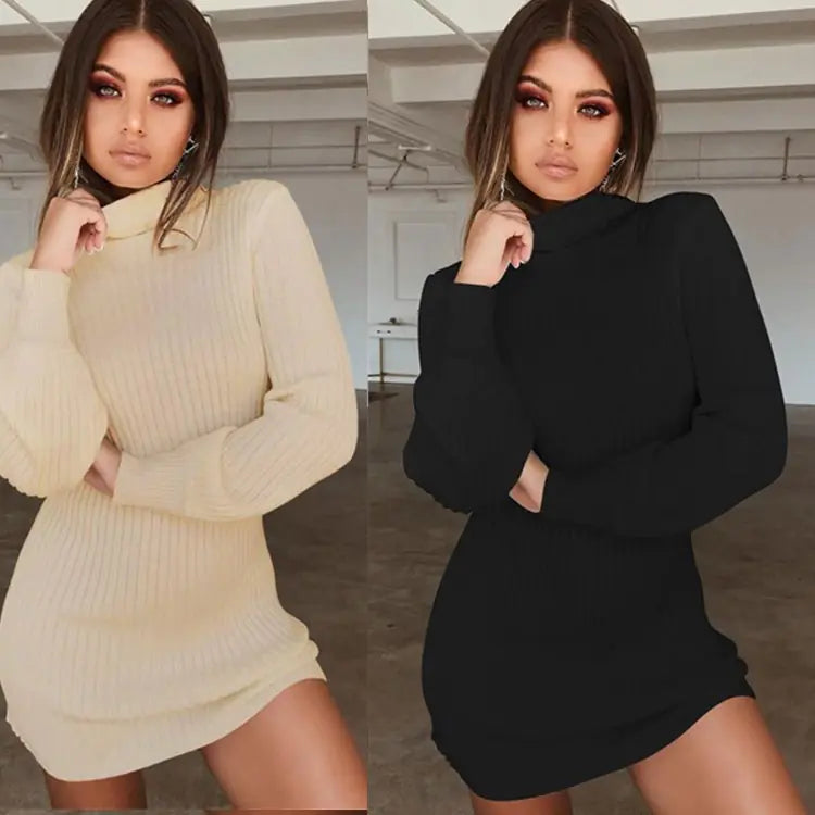 High Neck Long Sleeve Ribbed Mini Dress