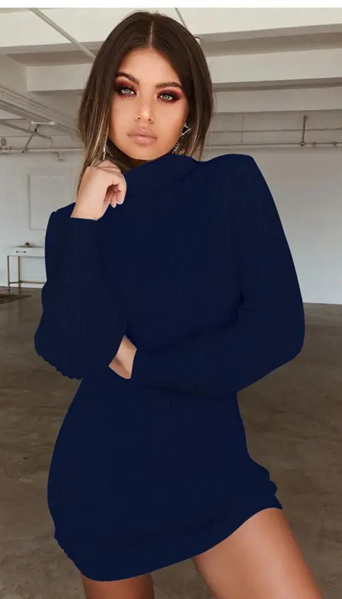 High Neck Long Sleeve Ribbed Mini Dress