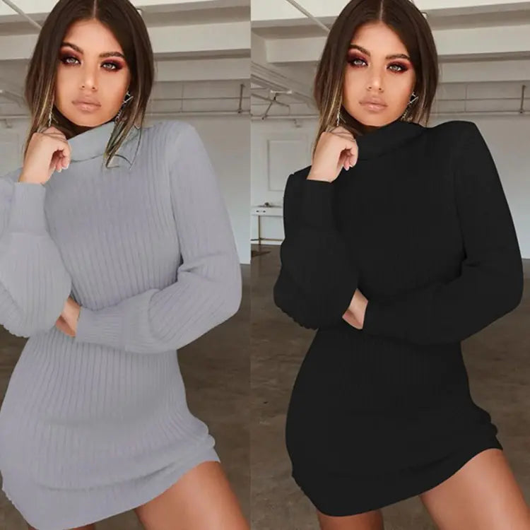 High Neck Long Sleeve Ribbed Mini Dress