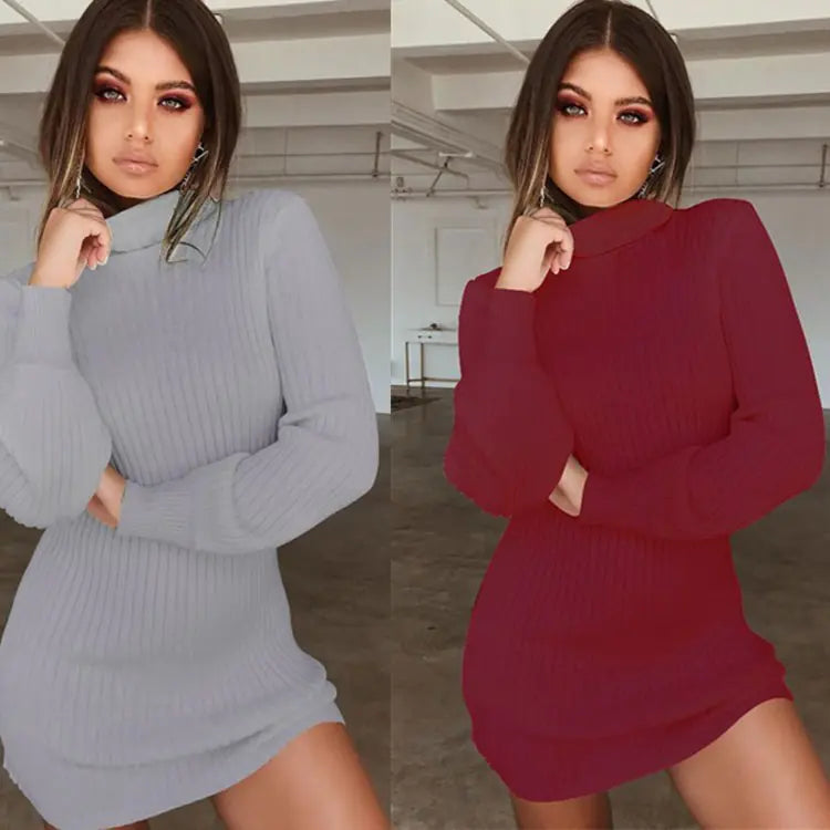 High Neck Long Sleeve Ribbed Mini Dress