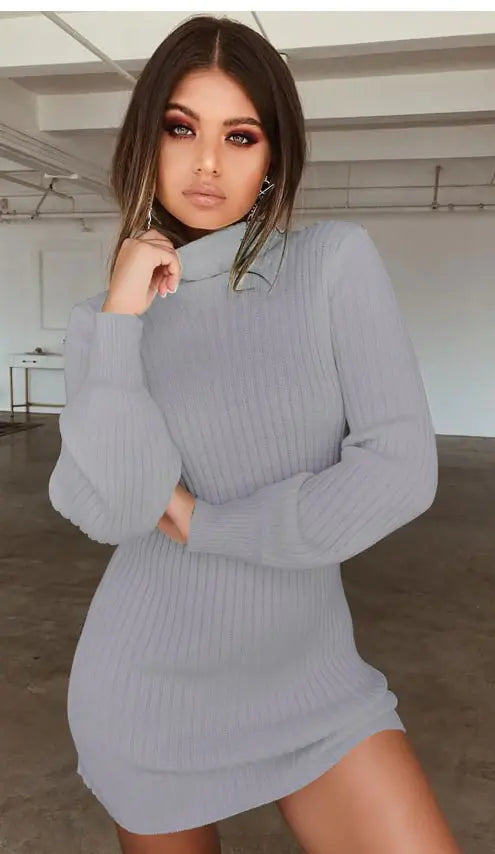High Neck Long Sleeve Ribbed Mini Dress