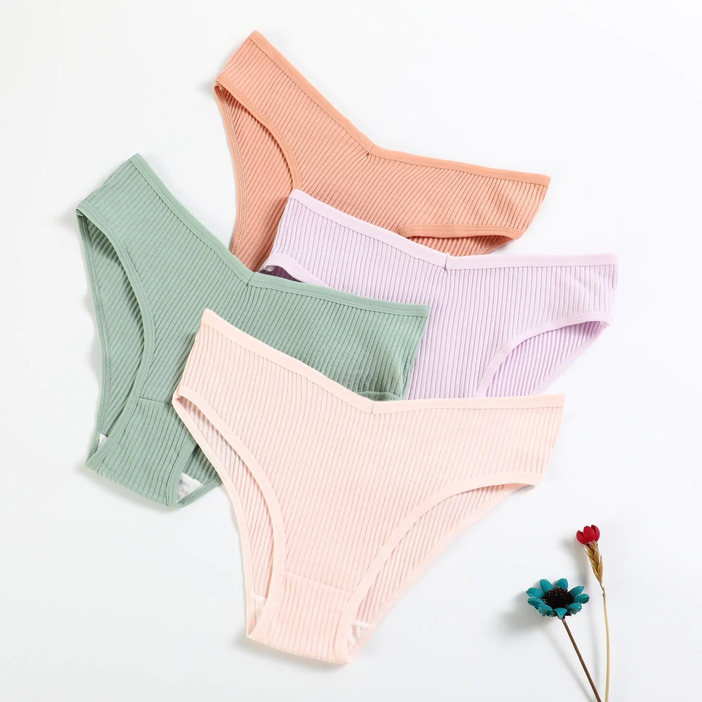 New V-Shaped Women's Cotton Low-Rise Breathable Briefs